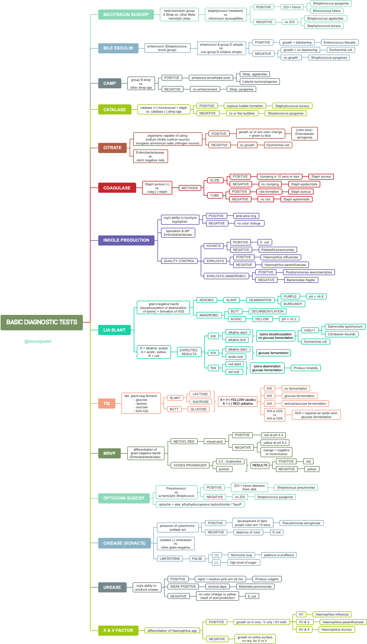 Bacteriology (Basic Diagnostic Tests)