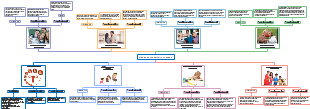 Etapas del desarrollo humano