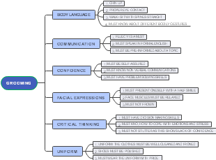 Professional Grooming and Presentation Skills Chart for Career Development