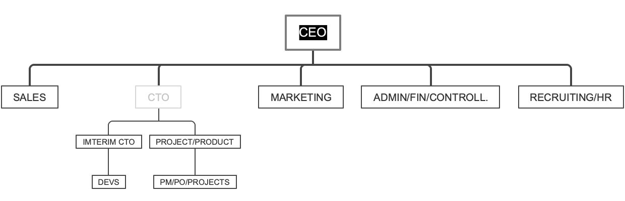 Corporate Hierarchy Chart: Structuring Business Departments and Roles