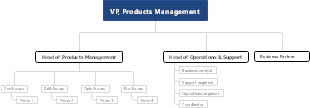 A Company Structure