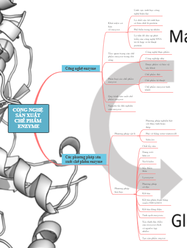 CÔNG NGHỆ SẢN XUẤT CHẾ PHẨM ENZYME