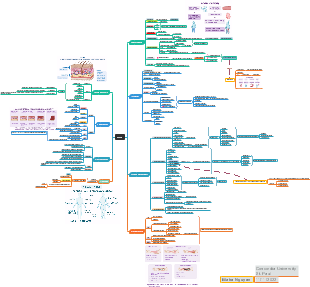 Skin Burn Types And Treatment Mind Map