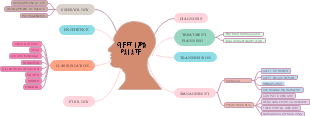 CLEFT LIP&PALATE