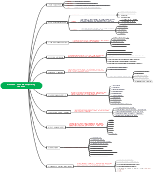 Comprehensive Business Plan Mind Map