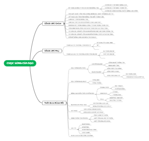 CUỘC SỐNG CỦA ĐẠO