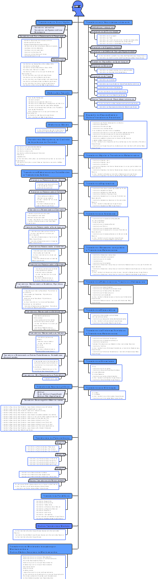 Mapa Mental DSM5 CICLO2