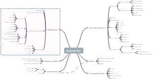 Detailed Business Plan Mind Map