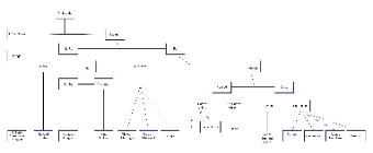 Zoo Animal Classification Tree Diagram