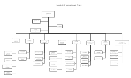 Hospital Organizational Chart