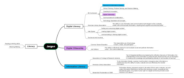 Literacy in the Digital Age: Digital Literacy and Citizenship