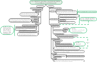Quá trình tư nhân hóa ngành hàng không của Australia và New Zealand
