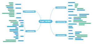 Projektmanagement-Struktur 