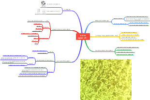 Bài thí nghiệm số 1