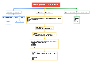 Sistem pencernaa pada manusia