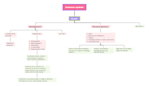 Immune System's Innate and Bloodborne Mind Map