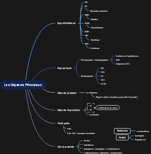Les Organes Principaux