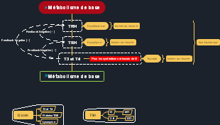 Métabolisme de Base des Hormones Thyroïdiennes