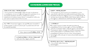 Extrusion process