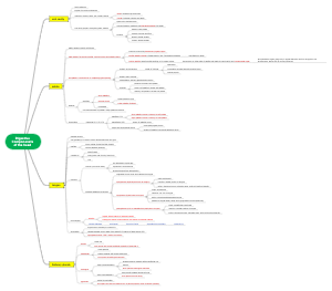 Digestive Components of Canin's Head Mind Map