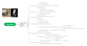 la evaluacion