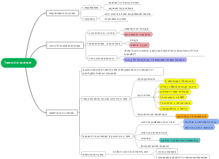 Terms of a Contract - Visual Sum