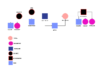 Family Relationship Diagram Template