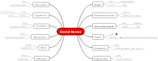 Cranial Nerves Mind Map