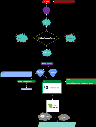 Educational Pathways Decision Tree for Bachelor's Degree Students