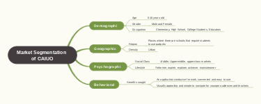 Market Segmentation of CAIUO