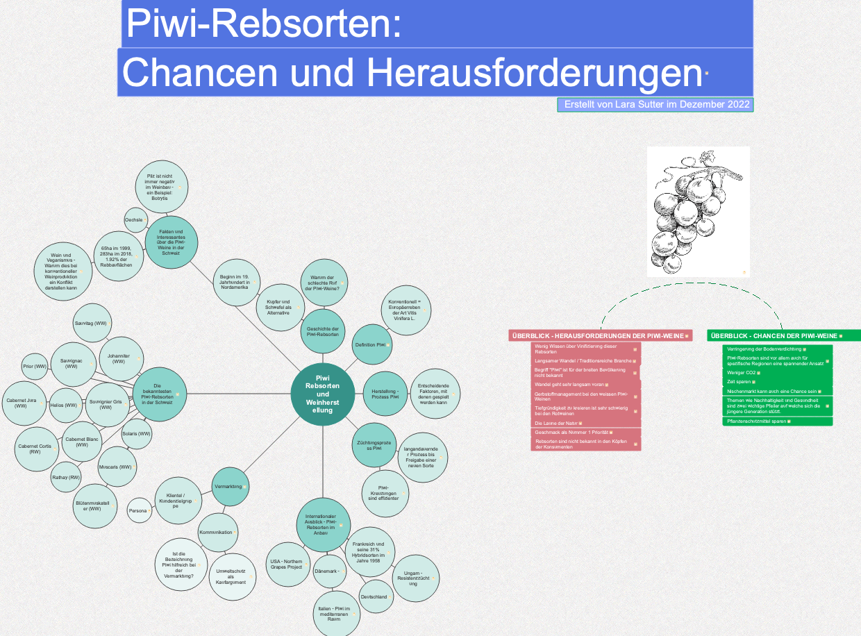 Piwi Rebsorten und Weinherst ellung