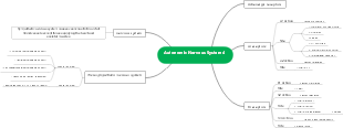 Autonomic Nervous System Mind Map