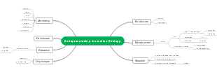 Entrepreneurship Innovation Strategy Mind Map