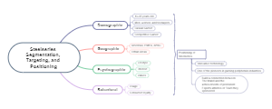 SteelSeries STP Analysis