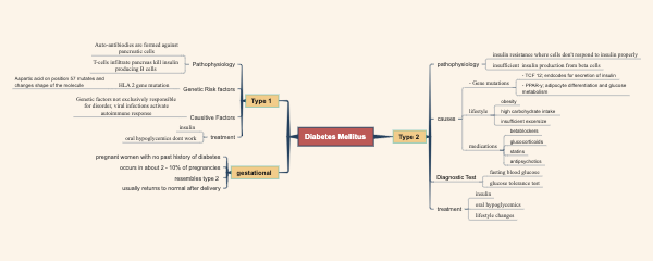 Diabetes Mellitus Mind Map