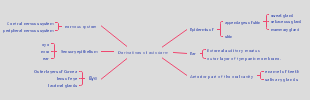 Derivatives of ectoderm