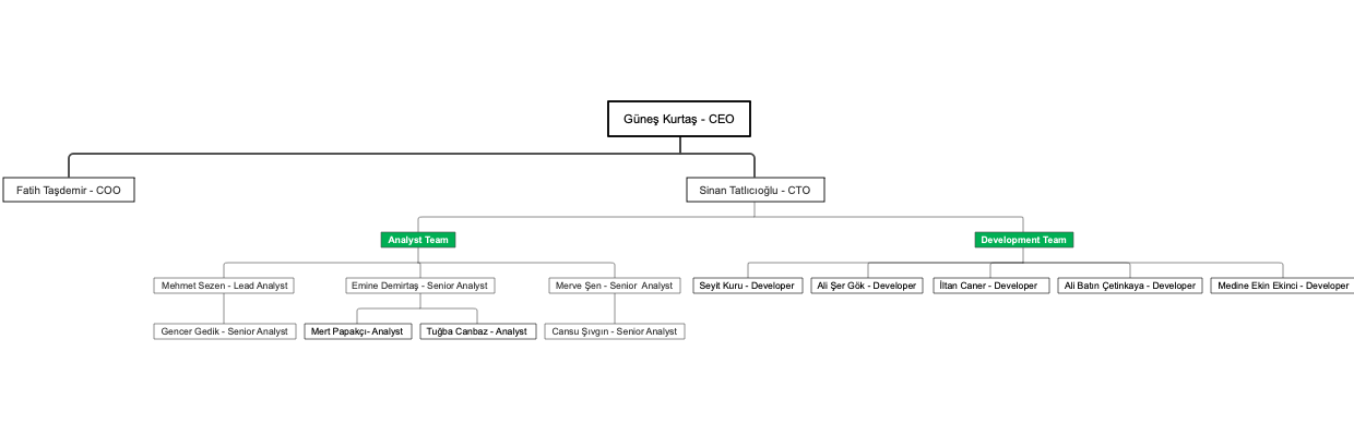 Suntek_Organization_Chart