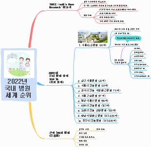 2022년 국내 병원 세계 순위