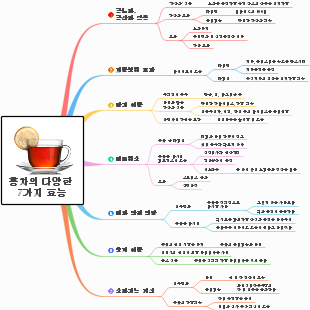 홍차의 다양한 7가지 효능