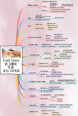 얼그레이의 뜻과 효능 10가지 마인드 맵