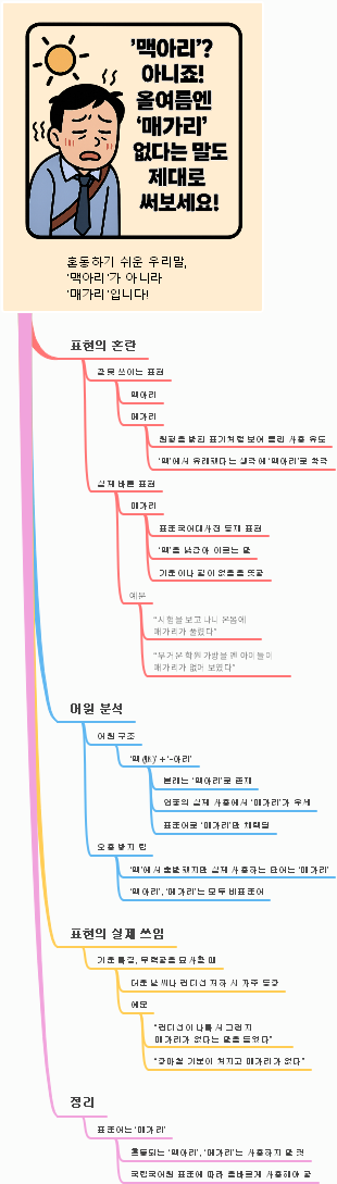 표현의 혼란과 어원 분석을 통한 올바른 표현 사용
