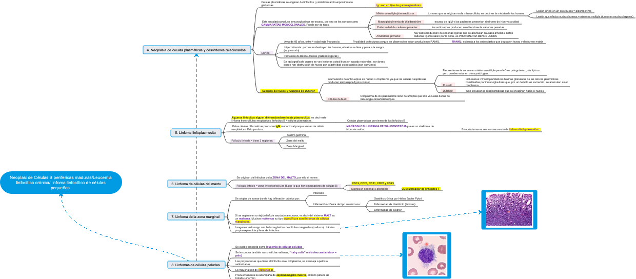 Neoplasia