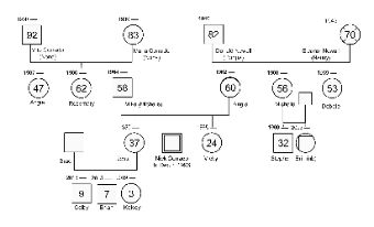 Family Pedigree Chart Template