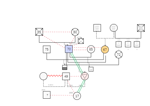 Complex Systematic Diagram with Interconnected Nodes