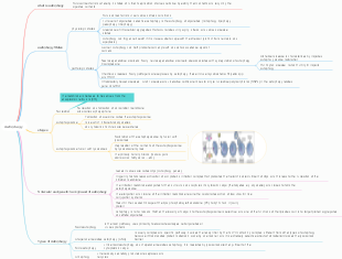 Autophagy Mind Map Illustrting Genetics Background