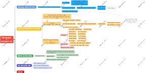 "Build Instagram & ხელშემწყობი სტრატეგიები"