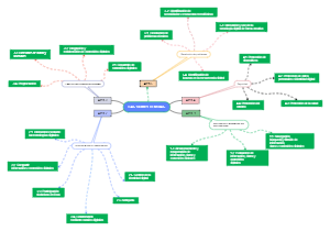 Digital Competencies