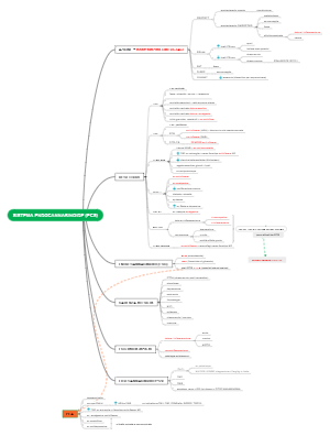 Sistema Endocannabinoide (ECS): Struttura e Funzioni