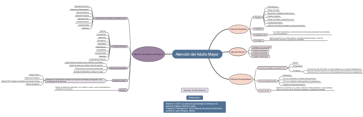 A mind map of the precautions for the elderly