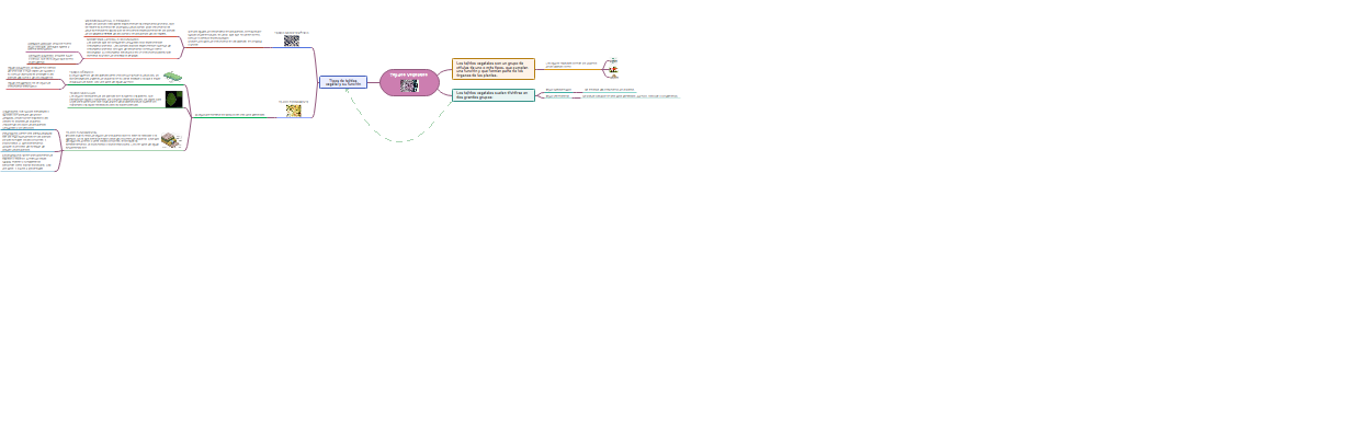 Mind mapping of plant tissues